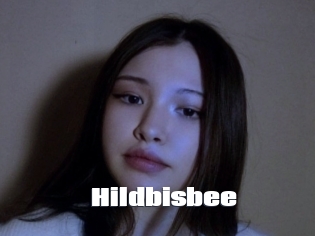 Hildbisbee
