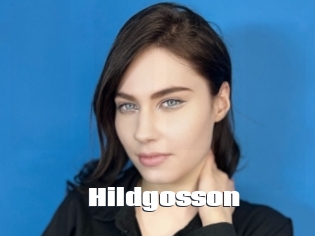 Hildgosson