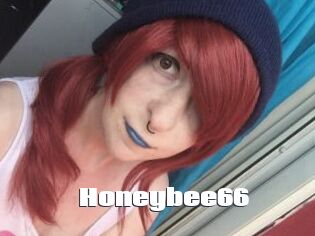 Honeybee66