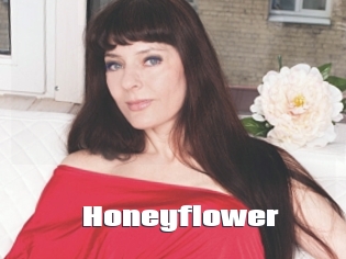 Honeyflower