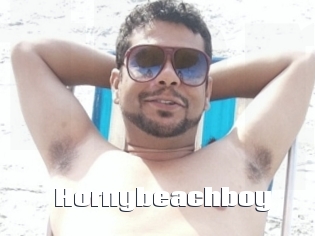 Hornybeachboy