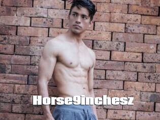 horse9inchesz The hot porn