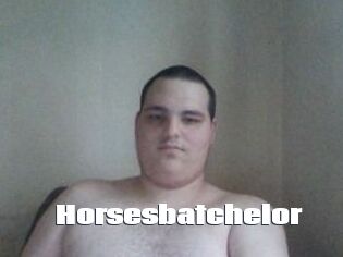 Horsesbatchelor