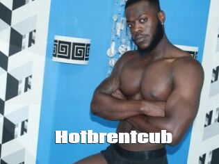 Hotbrentcub