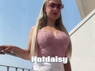 Hotdaisy