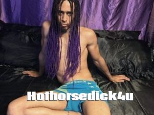 Hothorsedick4u