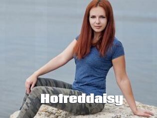 Hotreddaisy