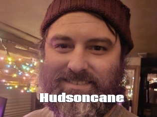 Hudsoncane