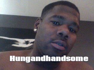 Hungandhandsome