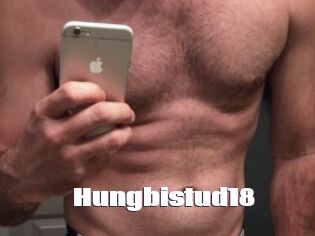 Hungbistud18