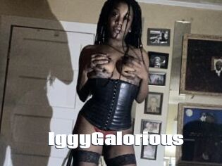 IggyGalorious