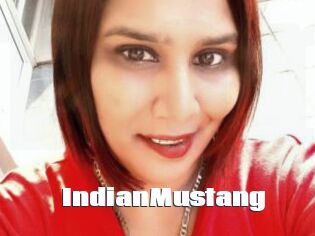IndianMustang