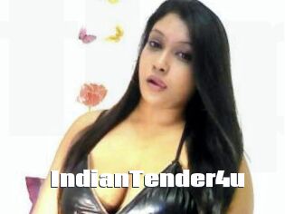 IndianTender4u