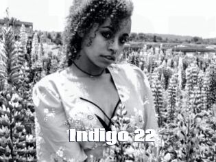 Indigo_22
