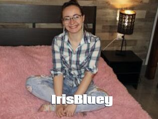 IrisBluey