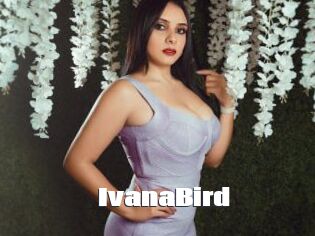 IvanaBird