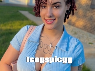 Iceyspicyy