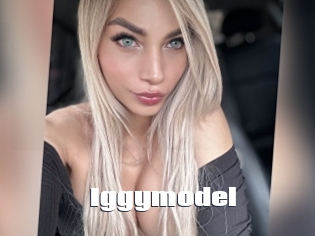 Iggymodel