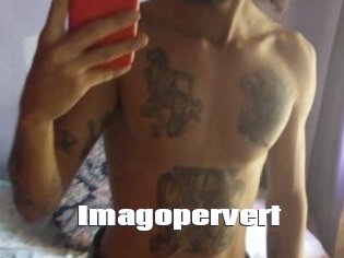 Imagopervert