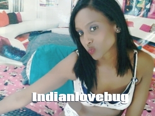 Indianlovebug