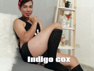 Indigo_cox