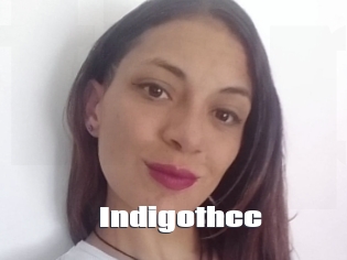 Indigothcc