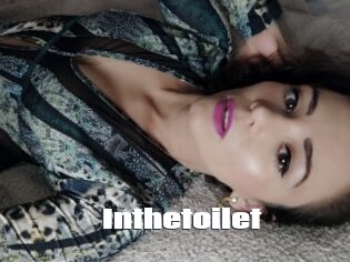 Inthetoilet