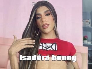 Isadora_bunny