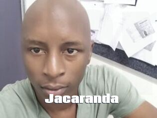 Jacaranda