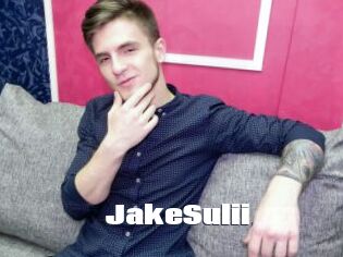 JakeSulii