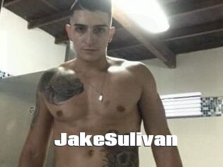 Jake_Sulivan