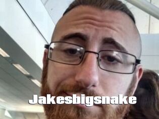 Jakesbigsnake