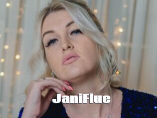 JaniFlue