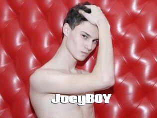JoeyB0Y