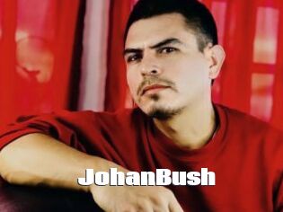 JohanBush