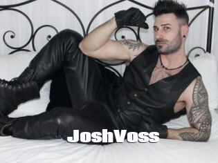 JoshVoss