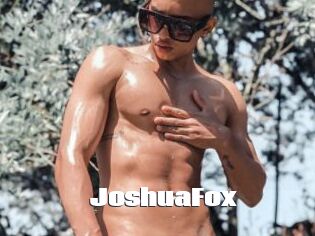 JoshuaFox