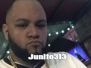 Junito313