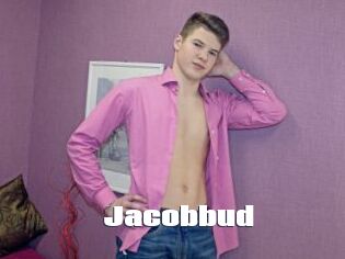 Jacobbud