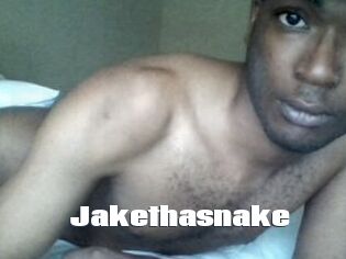 Jake_tha_snake