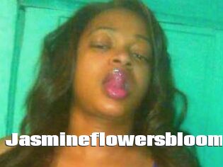 Jasmineflowersbloom