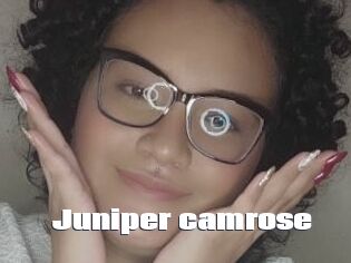 Juniper_camrose