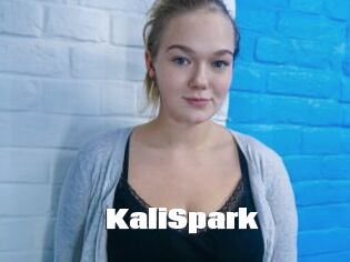 KaliSpark