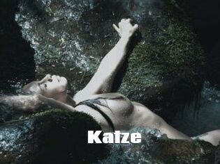 Katze