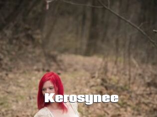 Kerosynee