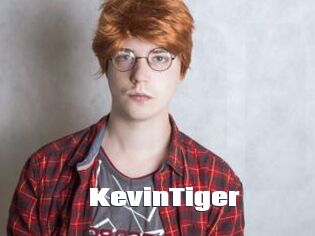KevinTiger