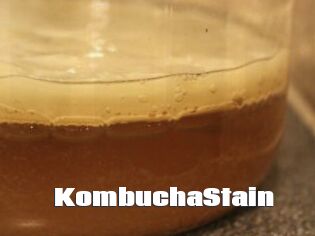 KombuchaStain