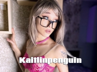 Kaitlinpenguin