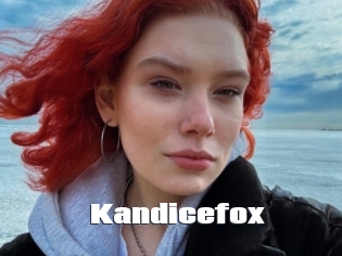 Kandicefox