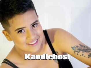 Kandiebost